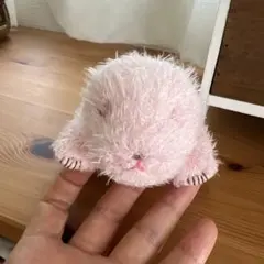 上野動物園 パンダ 赤ちゃん ぬいぐるみ 暁暁 香香 シャンシャン