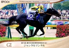2026年最新】ジャンタルマンタル 馬の人気アイテム - メルカリ
