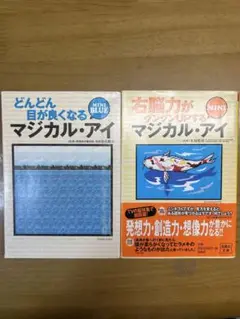 どんどん目が良くなるマジカル・アイ 右脳力がアップするマジカル・アイ