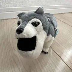 Item thumbnail for item 295aeb61-7b61-4cdb-9ec7-3a0dc856395a