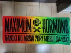 2025年最新】マキシマムザホルモン サインの人気アイテム - メルカリ