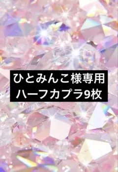 ひとみんこ様専用　ハーフカプラ9枚のサムネイル
