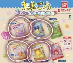 【即日発送】たまごっち　ブリスターパッケージ ガチャガチャ　まめっち含む4種