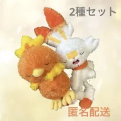 ポケモン　もふぐっとくつろぎタイムぬいぐるみ　アチャモ　ヒバニー