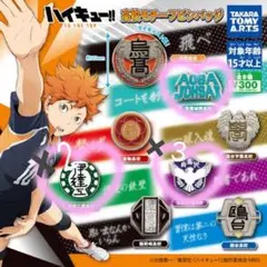 ハイキュー!! ピンバッジ バラ売り可能‼️