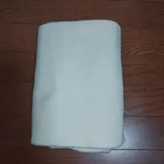 Item thumbnail for item f79b9595-dba6-481b-a868-cdacdd0f8acf