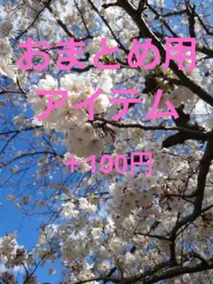 プラスワン用アイテム