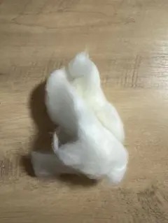 Item thumbnail for item b7e1a139-80ca-4688-9b69-47e10fbc0ecc