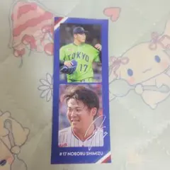 東京ヤクルトスワローズファン感謝デー2cutフォト 清水昇投手