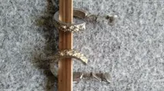 クリスタル装飾 シルバー フープイヤリング アンティーク