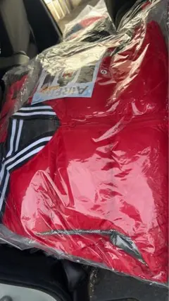 電熱ベスト　ジャケットL