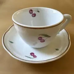 リチャードジノリ　カップセット