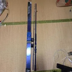Daiwa ラテオ パイレーツ 100ML ロッドケース付き【✴︎美品