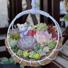 2026年最新】カゴ寄せ植えの人気アイテム - メルカリ