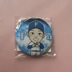 日ハム ピンバッチ 2014 北海道日本ハムファイターズ 2012〜2016年 ピンバッチセット