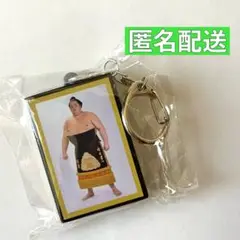 琴櫻関 明け荷キーホルダー 大相撲 ガチャガチャ