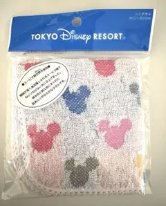 東京ディズニーリゾート ミニタオル