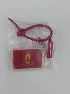 名古屋グランパス マルチチャーム