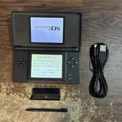 ☆充電器付き☆ニンテンドーDS Lite ジェットブラック