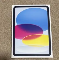 Apple iPad 本体 青色
