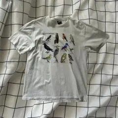 激レア/デッドストック/STUSSY×APPLEBUM/Tシャツ/コラボ/XL - メルカリ