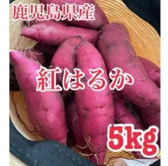鹿児島県産さつまいも《紅はるか》５キロ