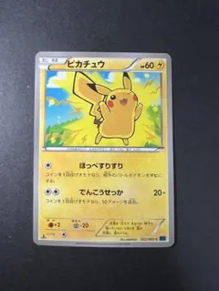 ピカチュウ C XY1 コレクション