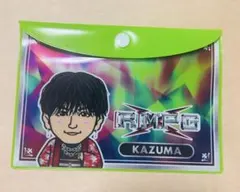 Item thumbnail for item a8de2df8-6022-457c-a95e-e603906925c0