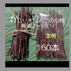 かじり木りんごの極細枝160本のサムネイル