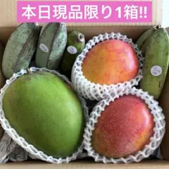 キーツ＆アップルマンゴー✨バナナ3種セット2155g 現品限り1箱のサムネイル