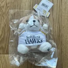 福岡ソフトバンクホークス 柴犬キーチェーン 今宮#6