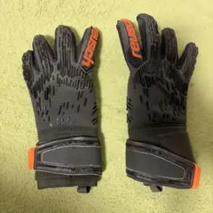 ロイシュキーパーグローブ サイズ8