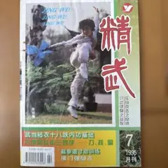【中国武術貴重資料】精武 1995年7月号陳発科一路連続写真の現存