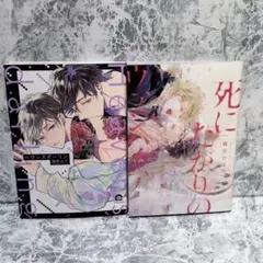 ボーイズラブ漫画 2冊セット 椎名ひろ