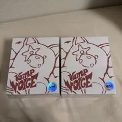 ENHYPEN THE SIN:VANISH ボイスキーリング2点