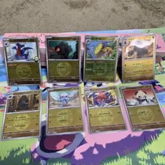 ボールミラー　ガバイト、ヤンチャム、アサナン、チャーレム、エレザード　他