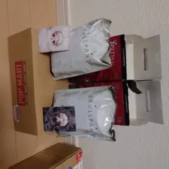 SKULLPANDA You Found Me! ぬいぐるみ 2個セット