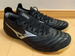 【値下げ不可】モレリアネオサラベータ japan in