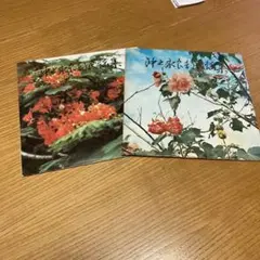 レコード　２枚