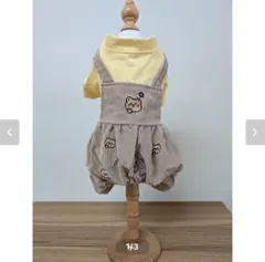 Item thumbnail for item 1b75a193-61a4-40f4-bd42-1e098aa23db8