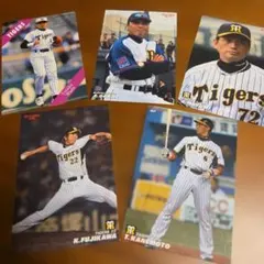 ✩監督セット✩阪神 タイガース プロ野球 　選手カード