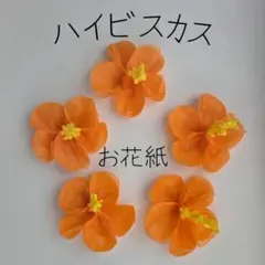 ハイビスカス　作成キット　お花紙