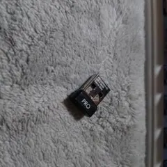 Item thumbnail for item fe11796f-8f53-4461-a21a-2929afa75b6e