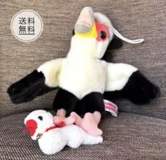 【9月27日まで！引越し処分価格】 ヘビクイワシ ぬいぐるみ 花鳥園限定
