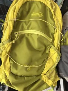 Item thumbnail for item 4c23d50a-aa64-4f95-84de-60625972a1c4