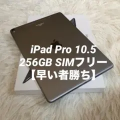 【完動品】iPad Pro 10.5 256GB SIMフリー【すぐ発送】