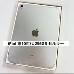 iPad★第10世代★64GB★シルバー★新品未使用★フィルム2枚付★ケース付 Apple iPad 10.9インチ 第10世代 Wi-Fi 64GB 2022年秋モデル