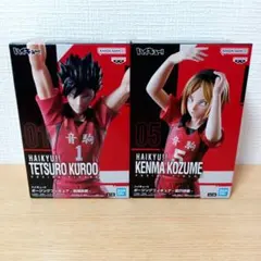 ハイキュー　ポージングフィギュア　2点セット　黒尾鉄朗　孤爪研磨