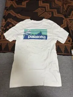 Item thumbnail for item 9aa0aa70-7da2-4526-92bf-b713163f9155