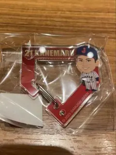 侍ジャパン 金丸